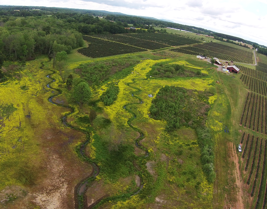Wildlands Engineering Ecosystem Restoration