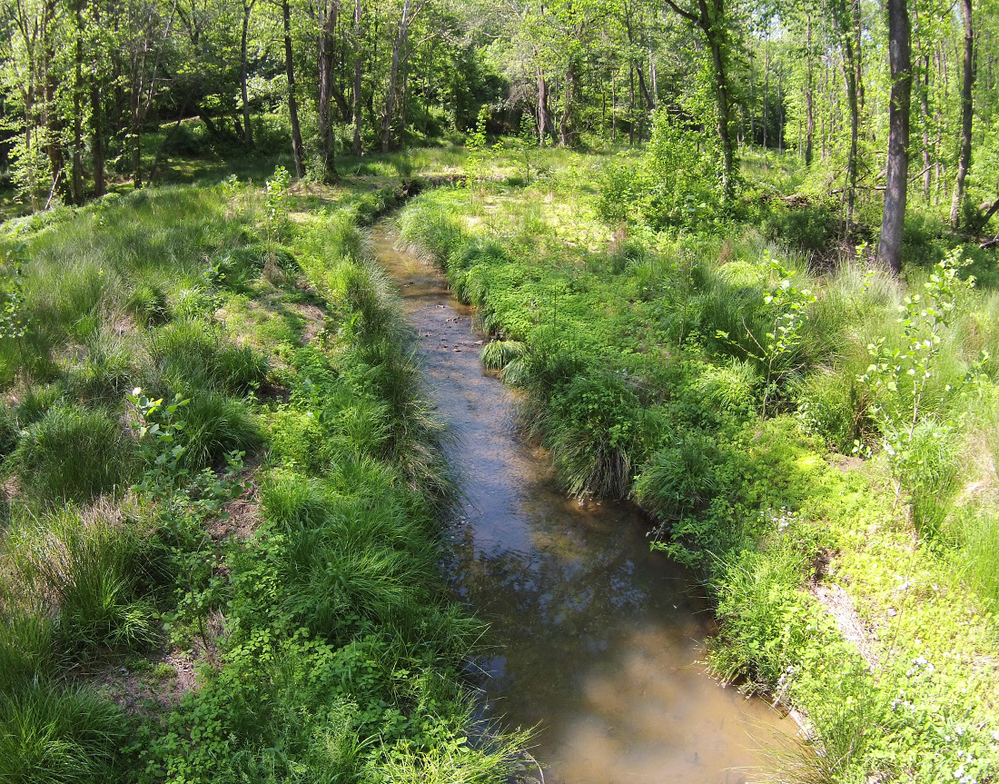 Little Troublesome Creek Mitigation Project