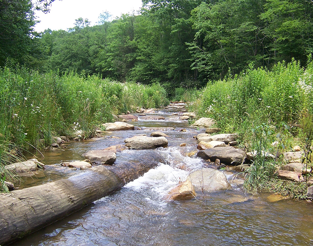 stream restoration, permitting