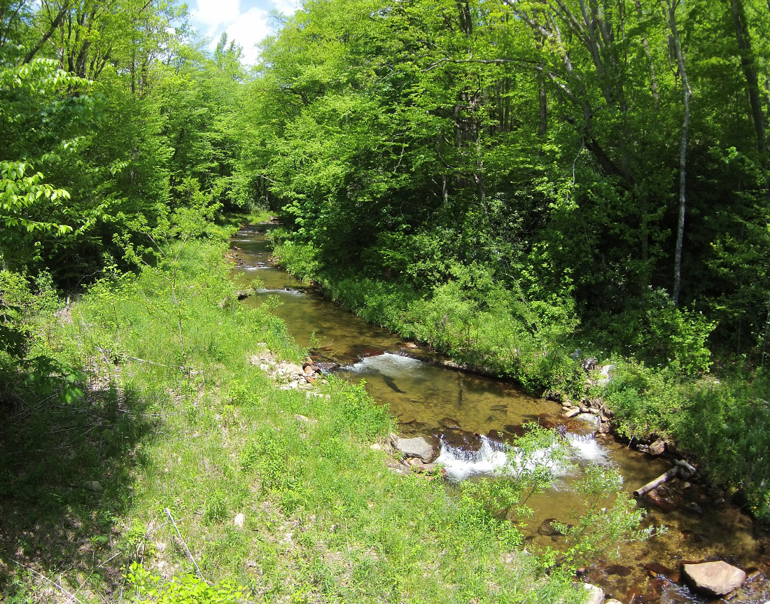 river restoration, river assessment