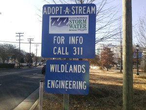 Wildlands adopts a stream