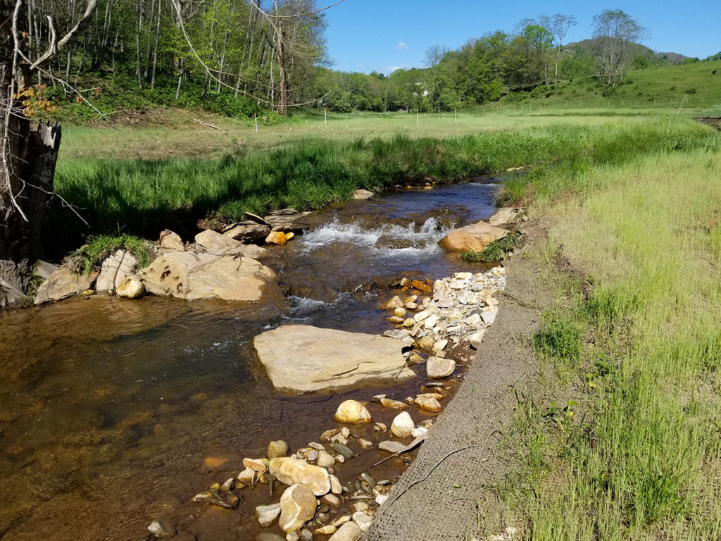 NC wetland mitigation, NC stream mitigation