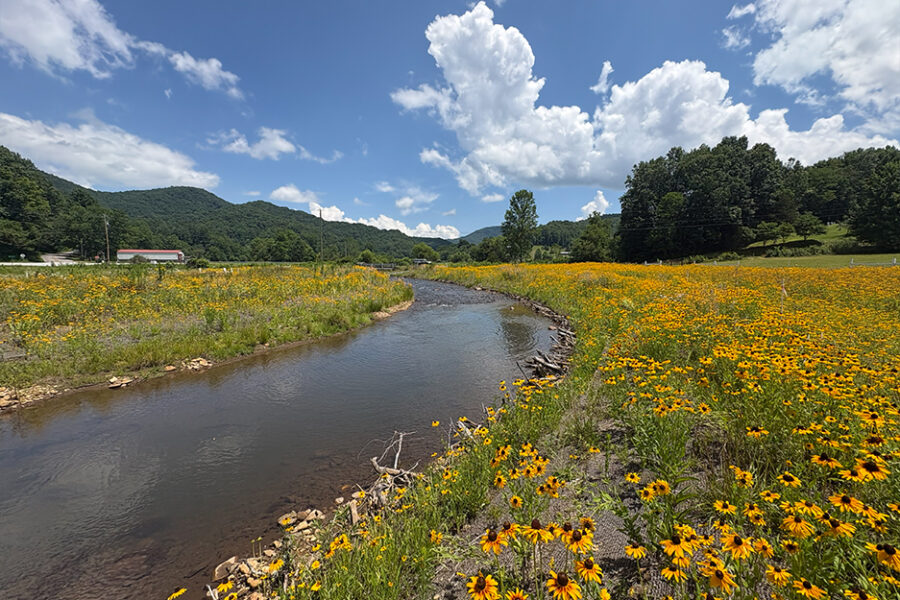 Falcon-03 Falcon Stream Mitigation Site